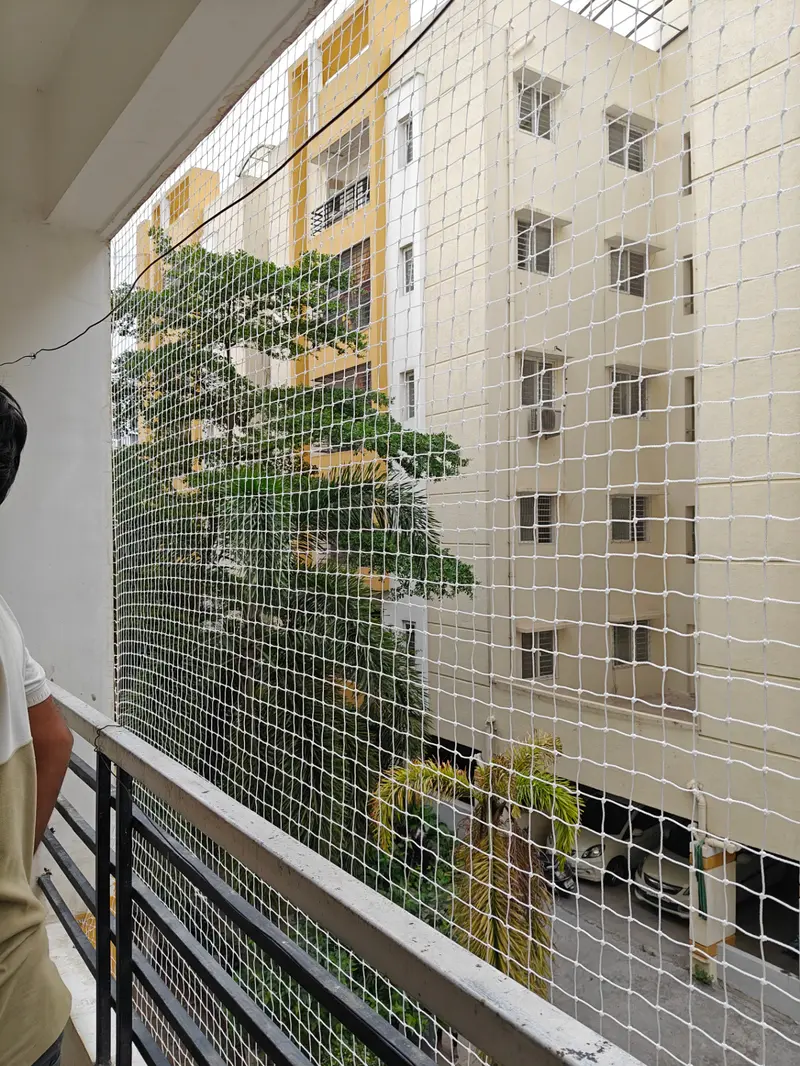 Pigeon Nets in Chennai