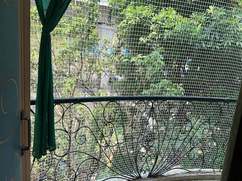 Pigeon Net For Balcony Installation In Sholinganallur — photo 4 of balcony ceilings work completed in Sholinganallur, Chennai